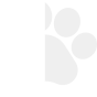 pawprint pawprint